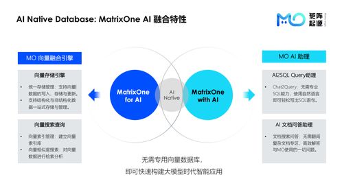 MatrixOne Meetup 上海站回顧 技術(shù)碰撞與開源生態(tài)的融合之夜